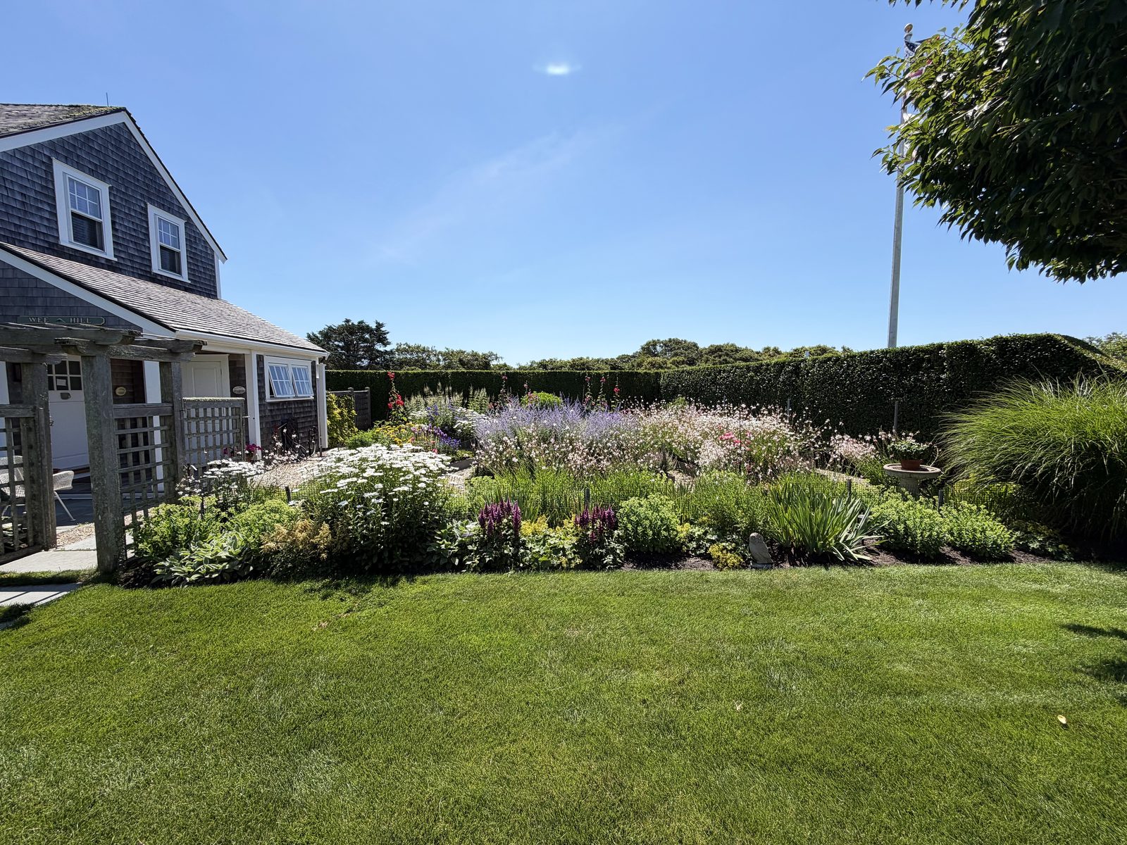 Perennial garden and lawn at a Nantucket cottage landscaped by Ryan Conway Landscaping